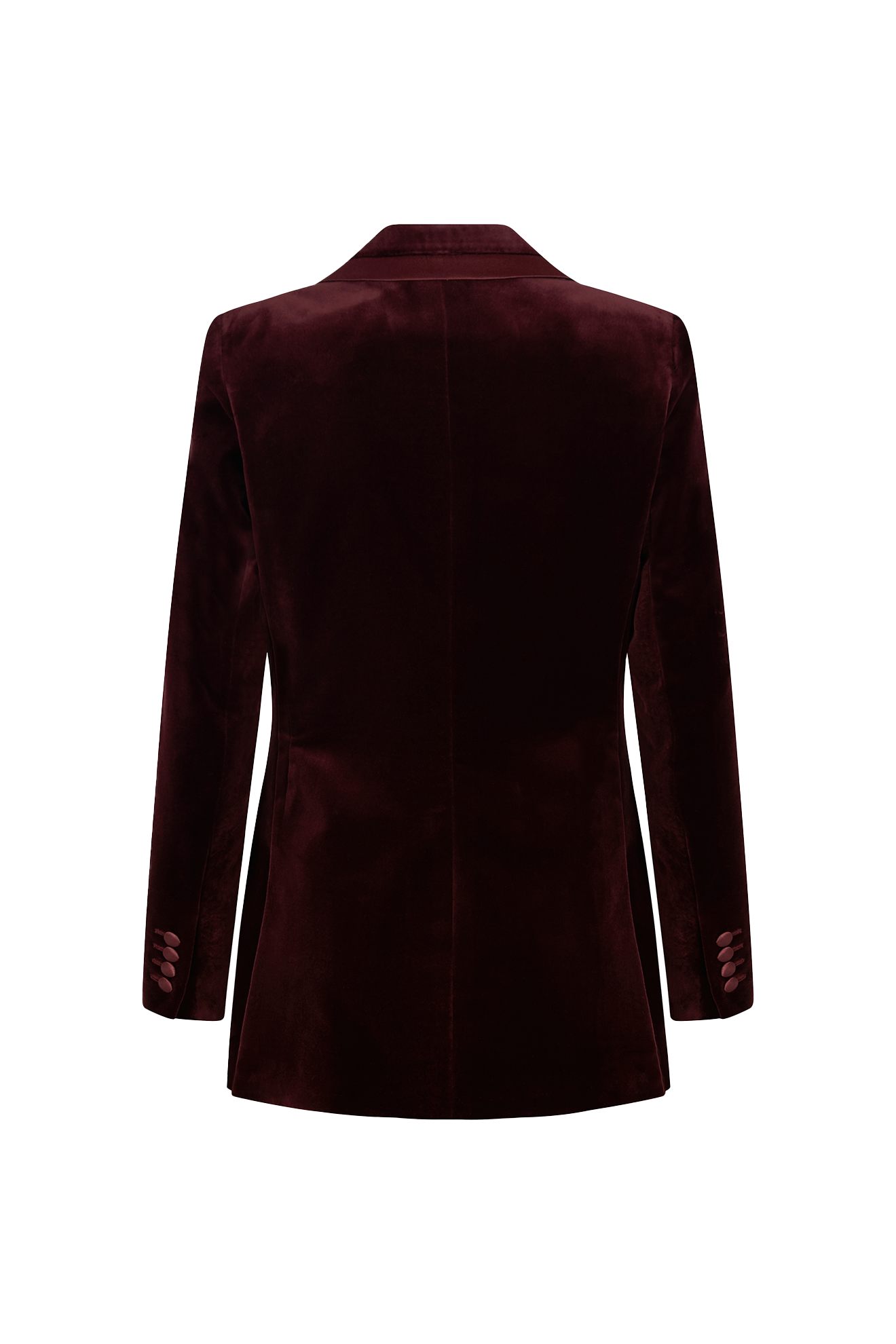 Single Breasted Jacket in Velvet - Image 5