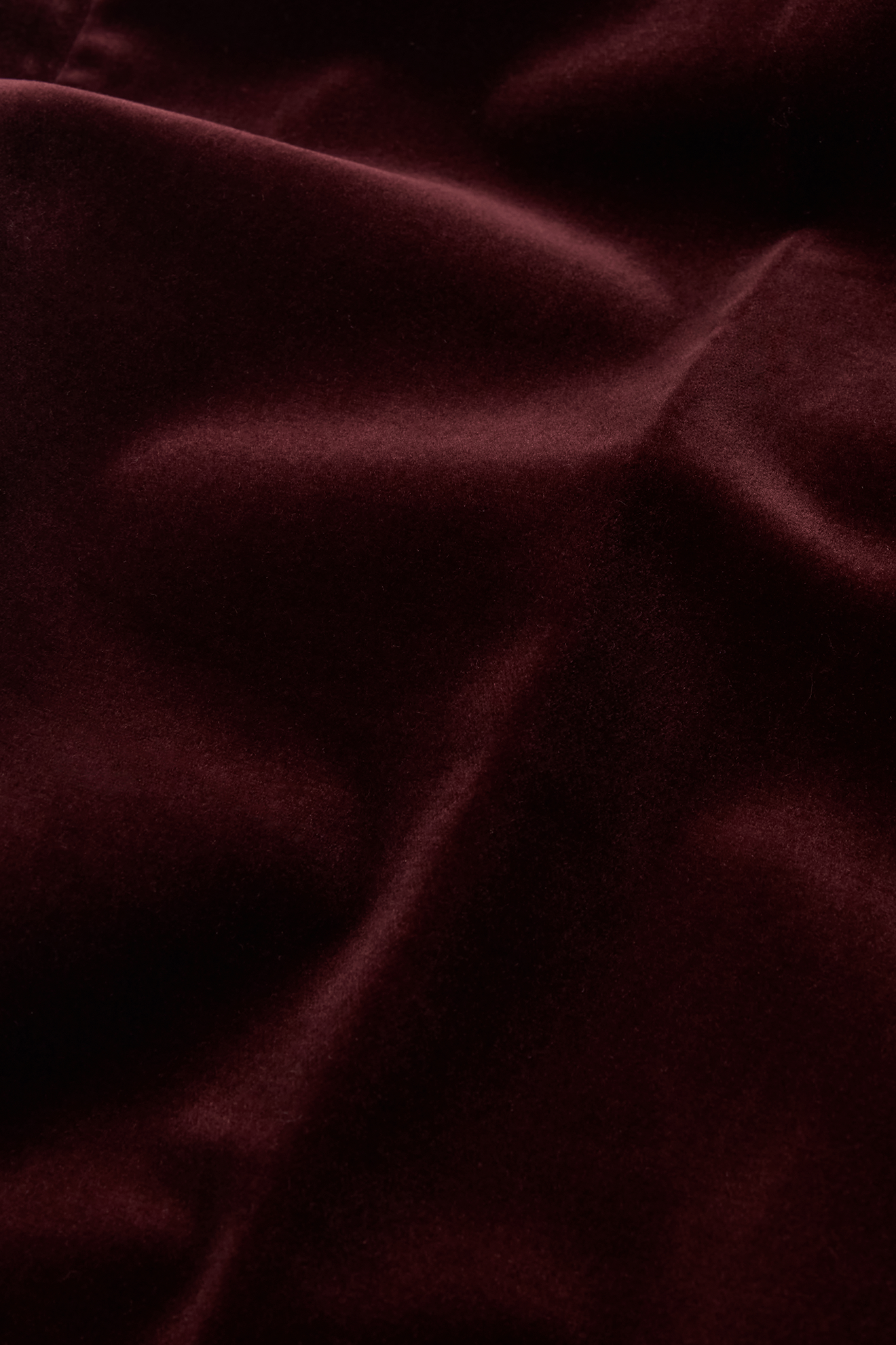 Single Breasted Jacket in Velvet - Image 4